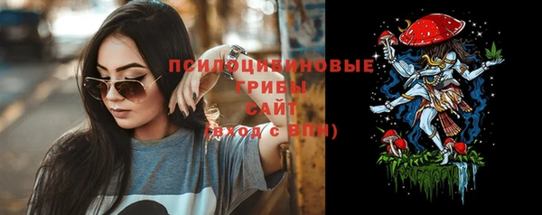 прущие грибы Алексин