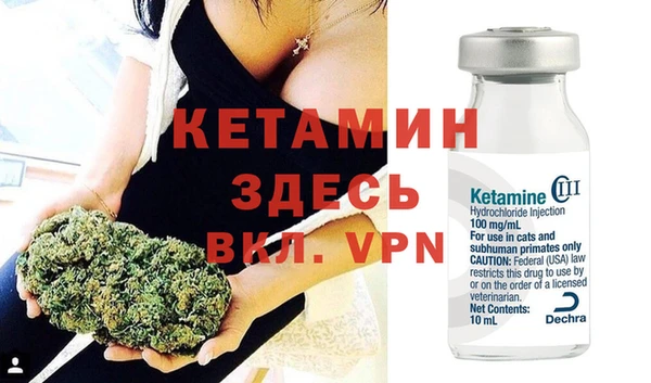 прущие грибы Куйбышев