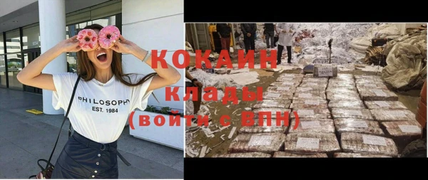 прущие грибы Алексин