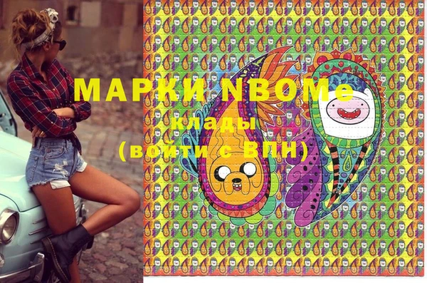 мет Инта